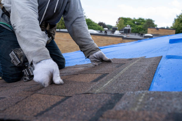 Roof Installation Near Me in Mansfield Center, MA