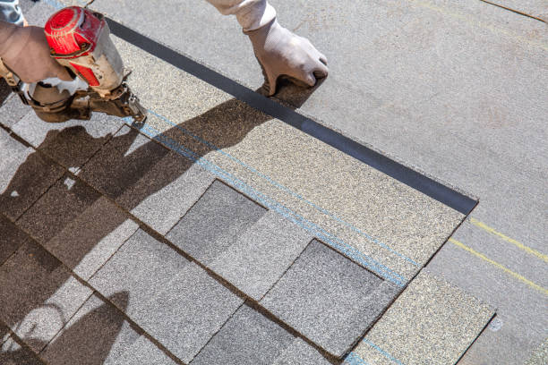 Best Roof Gutter Cleaning  in Nsfield Center, MA
