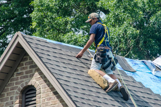 Best Roof Restoration Services  in Nsfield Center, MA